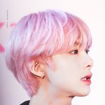 이거 찍은 홈마 대체 누구임?