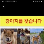 [댓글부탁해] 시바