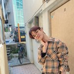 나 취향 소나무 맞는지 판단좀