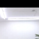[NCT칠프] 개이뻐요에 무너진 김정우 ㅎㅎㅎㅎㅎㅎㅎ
