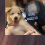 [NCT칠프] ㅠㅠ강아쥐랑 접선 <b>시도</b>하는 태용이