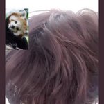 [NCT칠프] 지금 나랑 한 판 하자는겁니까