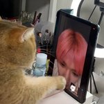 [NCT칠프] 이태용 <b>동물</b>이랑 교감하는거 귀여움