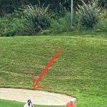 세훈이 광수형<b>아랑</b> 골프목격담