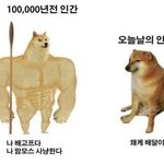 [추반] 추반해주면 예뻐지고 애인생김