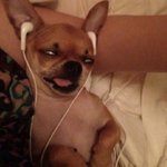 ❗️여기 주목❗️