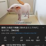 [드루와] 너네 이거 암??