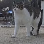 엄마가 내가 <b>사온</b> 소고기로 미역국 끓여버림..ㅋ