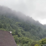 <b>행크</b> 자기보다 큰 친구들 많이 만나네ㅋㅋㅋ