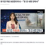 [꼭좀읽어줘] ⭐보호소 이름걸고 사기치는 <b>펫</b><b>샵</b>⭐ 유기<b>견</b>보호소⭐