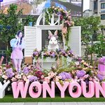 [드루와] 장원영 홍대 광장전시물 봄?