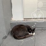 [드루와] 엄마랑 둘이 <b>놀이</b>공원 오바냐
