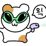 [이것좀봐줘] 크록스 기본<b>템</b>임 <b>유행</b><b>템</b>임