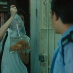 [댓글부탁해] <b>왓챠</b>쓰는 판녀 있음?? 나 내일 10시에만 빌려줄사람...