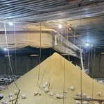 양계장 사료 배식기 고장났대