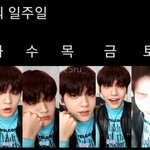 [TXT] 유용한 짤 발굴