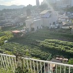 우리 <b>동네</b> 시골이야?