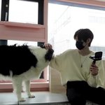 [엔하이픈] 성훈이 잘어울린다