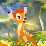 욜 마 온리 <b>밤비</b> 밤 볘ㅔㅔㅔㅔ