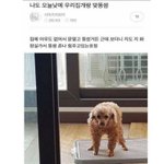 <b>벌레</b>한테 방 내어주고 왔다