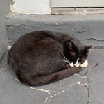 [드루와] 서현이 왜 멤버들한테 아직도 <b>존대</b>쓰는지