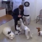 [엔하이픈] <b>성훈이</b>는 뭔가 있어...