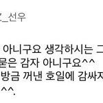 김선우 이 <b>공</b><b>카</b> 댓