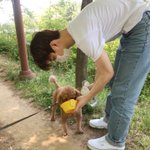 <b>덥즈</b> ❤️ 강아지