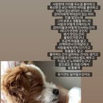 윤지성 인스타스토리래