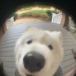 [댓글부탁해] 우리 순수했던 잼<b>민시</b>절 국룰 적고가자...