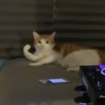 [댓글부탁해] <b>남색</b> 잘어울리면 무슨 톤임?