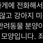 [모두드루와] 태연 진짜 <b>펫샵견</b> 아닌가보네