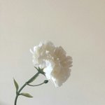 나 아빠한테 정<b>털</b><b>림</b>