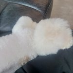 [댓글부탁해] 커플링 <b>브랜드</b> <b>추천</b>좀 해주세요