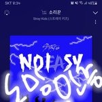 [스키즈] 스밍 중 물어볼꺼