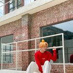 나 <b>종종</b> 팬코하고 다님