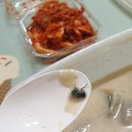 [이것좀봐줘] 배달음식에 파리..