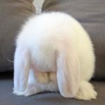 언제쯤 난 <b>피터</b>팬을 들어도 울지 않는