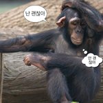 너희 <b>덕질</b>할 때 남친 사귈 수 있음?