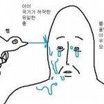 헐 나 판 버그 찾아냄