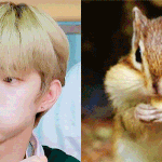 모두가 인정하는 아이돌 <b>모에</b>화 갑