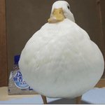 [댓글부탁해] 우울한 노래 ㅊㅊ좀