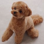 [댓글부탁해] 내 눈 왜이럼 ㅠㅠㅠ?도와줘ㅠㅠㅠ
