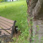 [진격의거인] 헐 나 방금 <b>병장</b>님 본 것 같아