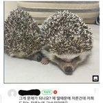 <b>윈터</b> 지금 논란 보니까 이거 생각나네