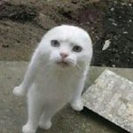 통과 22점 <b>이공계열</b> 가는 거 에바냐? ㅌㅋㅋㅋㅋㅋㅋ