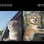 [NCT칠프] 아 이거 보고 개웃었네