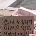 [댓글부탁해] 고3들아 … 너넨 <b>무슨</b> <b>과</b> 갈거야 …