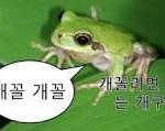 [댓글부탁해] 고3 131351어카냐