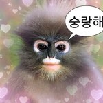 <b>Mbti</b> 맞춰볼게